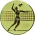 Вкладыш волейбол D2 A6/G в медали спортивные для детей в интернет-магазине kubki-olimp.ru и cup-olimp.ru Фото 0