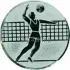 Вкладыш волейбол D2 A6/S в медали спортивные для детей в интернет-магазине kubki-olimp.ru и cup-olimp.ru Фото 0