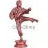 В интернет магазине статуэтка каратэ F10 в интернет-магазине kubki-olimp.ru и cup-olimp.ru Фото 0