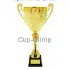 Кубок с надписью на заказ D1997C в интернет-магазине kubki-olimp.ru и cup-olimp.ru Фото 0