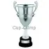 Заказать кубок с гравировкой D2289C в интернет-магазине kubki-olimp.ru и cup-olimp.ru Фото 0