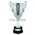 Заказать кубок с гравировкой D2289C в интернет-магазине kubki-olimp.ru и cup-olimp.ru Фото 0