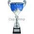 Кубки наградные спортивные D1995C в интернет-магазине kubki-olimp.ru и cup-olimp.ru Фото 0