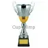 Кубки наградные спортивные D2037C в интернет-магазине kubki-olimp.ru и cup-olimp.ru Фото 0