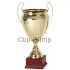 Заказать кубок с надписью R2520A в интернет-магазине kubki-olimp.ru и cup-olimp.ru Фото 0