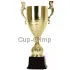 Кубок с гравировкой на заказ и cup-olimp.ru Кубок R2559A в интернет-магазине kubki-olimp.ru и cup-olimp.ru Фото 0