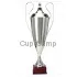 Заказать кубок с надписью R1042-N B в интернет-магазине kubki-olimp.ru и cup-olimp.ru Фото 0