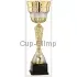 Бюджетный  Кубок R4004D в интернет-магазине kubki-olimp.ru и cup-olimp.ru Фото 0