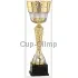 Бюджетный  Кубок R4004B в интернет-магазине kubki-olimp.ru и cup-olimp.ru Фото 0