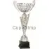 Кубки наградные спортивные R4011B в интернет-магазине kubki-olimp.ru и cup-olimp.ru Фото 0