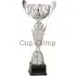 Кубок престижный R4014C в интернет-магазине kubki-olimp.ru и cup-olimp.ru Фото 0