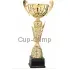 Купить кубок для награждения R4013B в интернет-магазине kubki-olimp.ru и cup-olimp.ru Фото 0