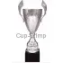 Купить кубок с надписью R4127F в интернет-магазине kubki-olimp.ru и cup-olimp.ru Фото 0