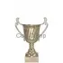 Элитные кубки P141A-S (1) без крышки в интернет-магазине kubki-olimp.ru и cup-olimp.ru Фото 0
