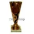 Надпись на кубке победителя соревнований P14C в интернет-магазине kubki-olimp.ru и cup-olimp.ru Фото 3