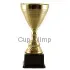 Золотой с серебром спортивный кубок P 431, Цвет: золото, Высота кубка, см.: 26, Диаметр чаши, мм.: 120
